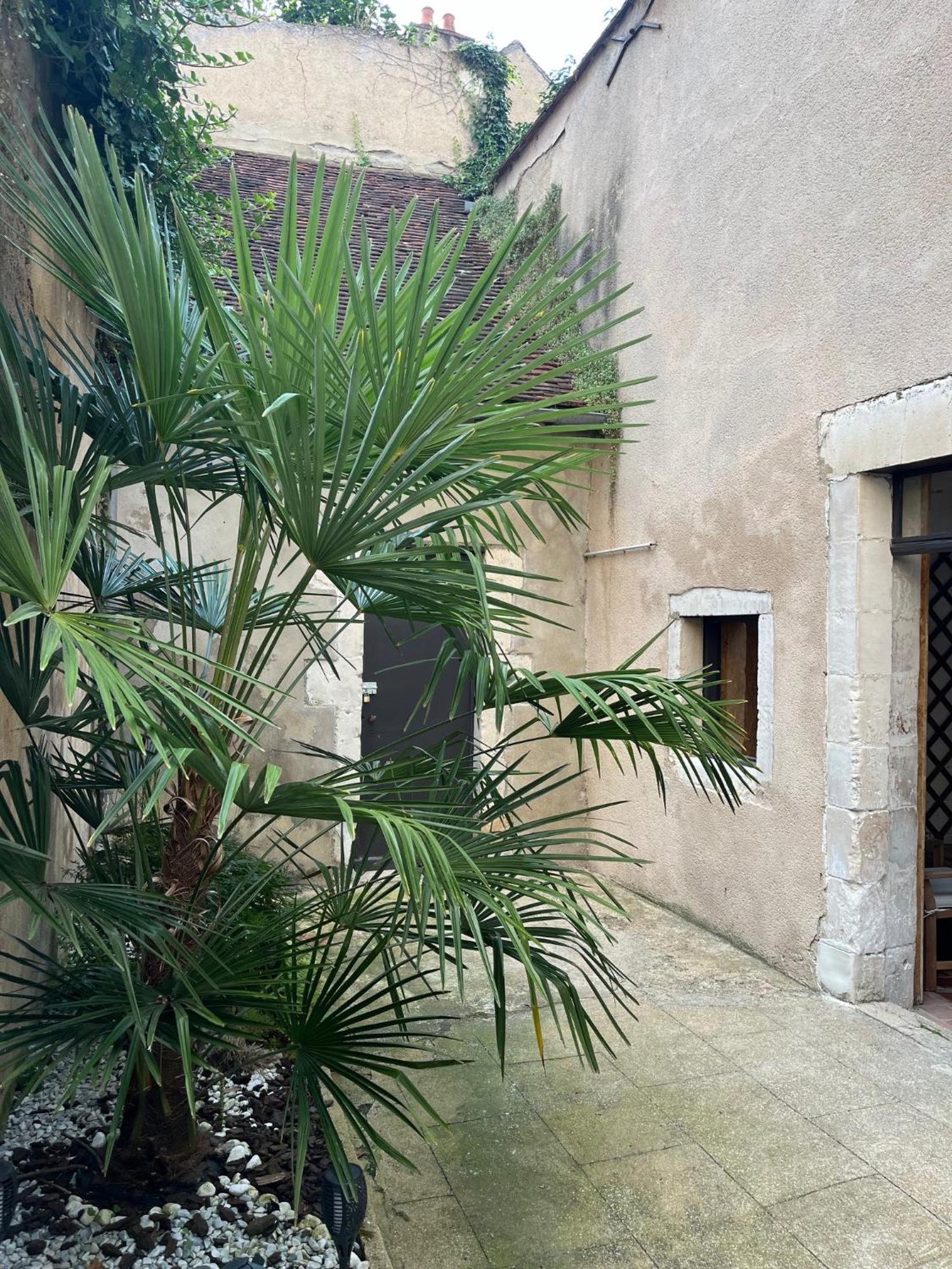 Cosy Appartement Hyper Centre Ville Avec Cour + Patio Auxerre Eksteriør billede
